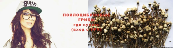 spice Аркадак