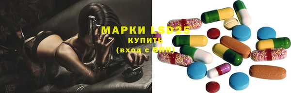 spice Аркадак